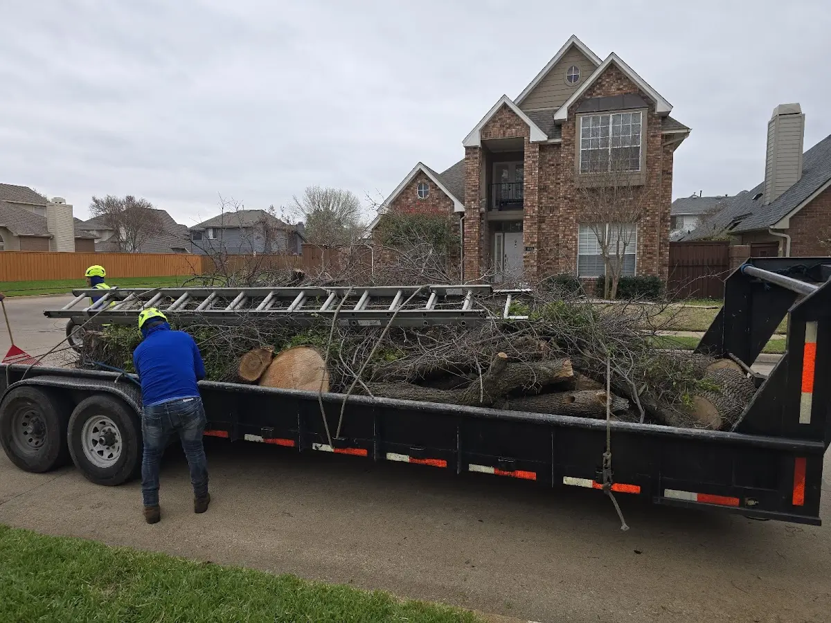 Expert Tree Pest Control with proper safety equipment in Industry